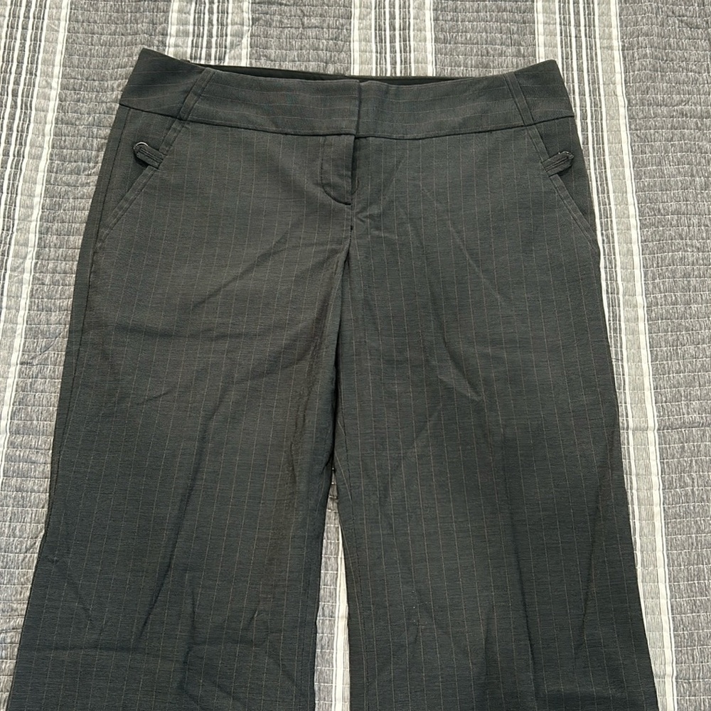 The limited dress pants